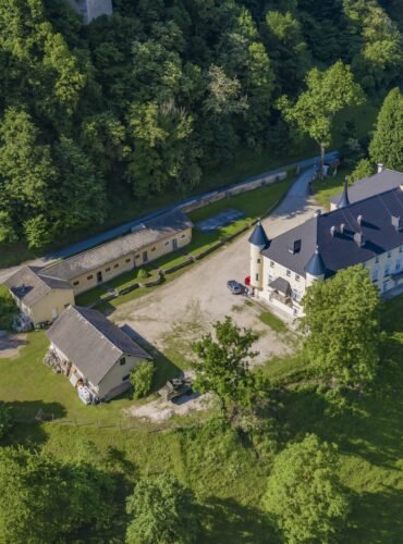 An amazing view of the Bukoje Manor in Slovenia surrounded by trees